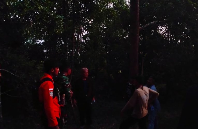 Warga Desa Air Nusa, Kabupaten Natuna, Hilang saat Berkebun; Operasi Pencarian Dilakukan