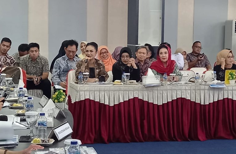 Krisdayanti Kunker di Tanjungpinang, Soroti PAD Kota Tanjungpinang Minim