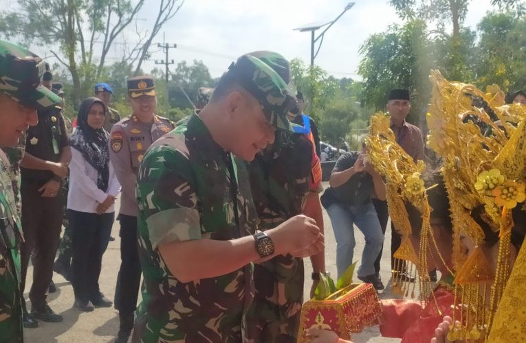 Tim Wasev Mabesad Tinjau Pelaksanaan TMMD Ke-199 di Kabupaten Bintan