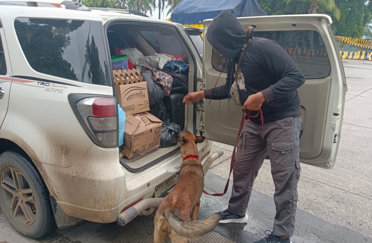 6 Anjing K9 Berhasil Ungkap Peredaran Narkoba di Pelabuhan Bakauheni