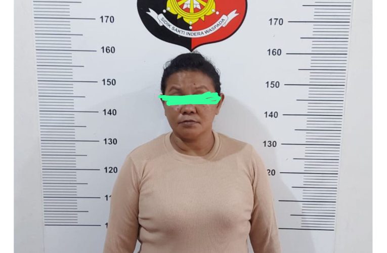 Kasat Reskrim Polresta Tanjungpinang Amankan ART karena Mencuri Harta Majikannya Senilai Rp 100 Juta