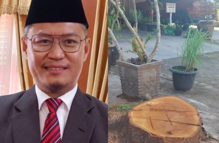 Sekretaris Daerah Kota Tanjungpinang Angkat Bicara Terkait Penebangan Pohon oleh Dinas Perkim