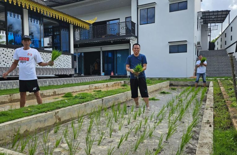 KKSS Kepri Adakan Pelatihan Menanam Padi