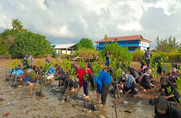 Hari Lingkungan Hidup Sedunia Dirayakan dengan Semangat Kampanye Hijau di Tanjungpinang: Penanaman 500 Bibit Mangrove
