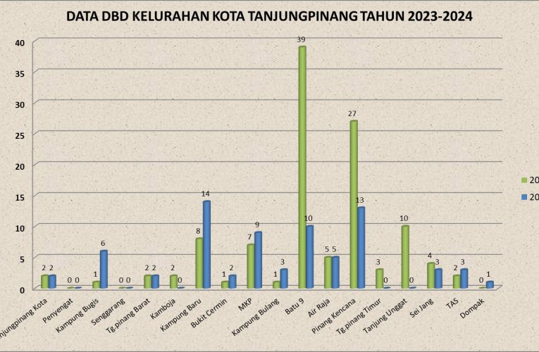 Kasus DBD Meningkat, Ini Kata Kadinkes Tanjungpinang