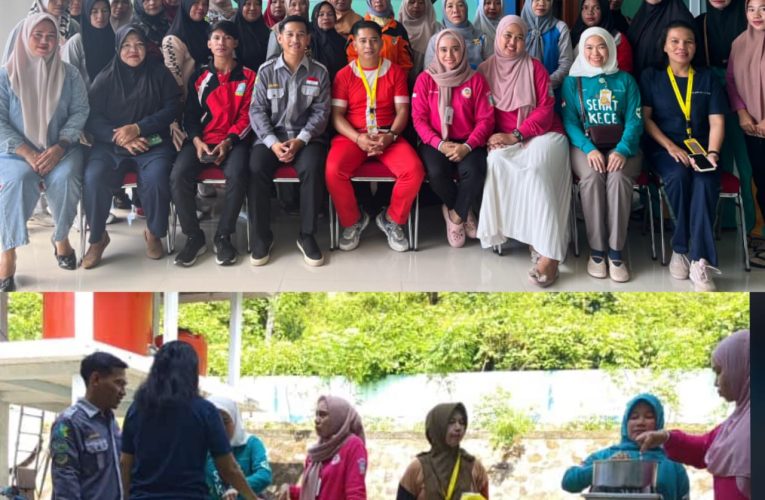 Puskesmas Letung Adakan Pelatihan PMT untuk Kader Posyandu dan PKK di Jemaja