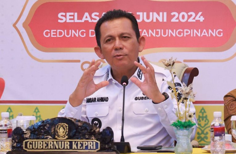 Gubernur Kepri Perjuangkan Penerapan Visa on Arrival untuk Dongkrak Kunjungan Wisatawan
