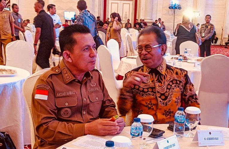 Dukung Pilkada Serentak 2024, Pemprov Kepri Kucurkan Anggaran Hingga Rp 226 Miliar