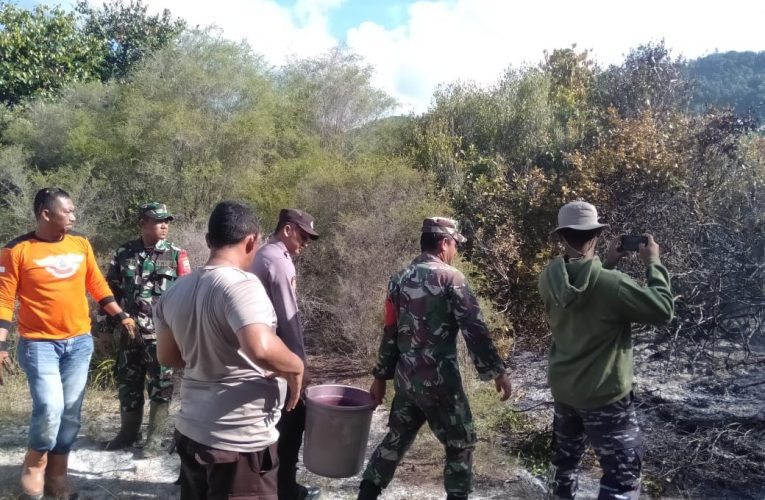 Tim Gabungan Padamkan Kebakaran Lahan di SMAN 1 Jemaja