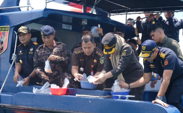 Bea Cukai Batam Gagalkan Penyelundupan 795 Ribu Benih Lobster, Potensi Kerugian Negara 90 Miliar Rupiah