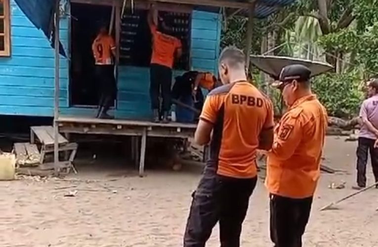 Angin Kencang Tumbangkan Pohon Kelapa, Atap Rumah di Desa Landak Hancur