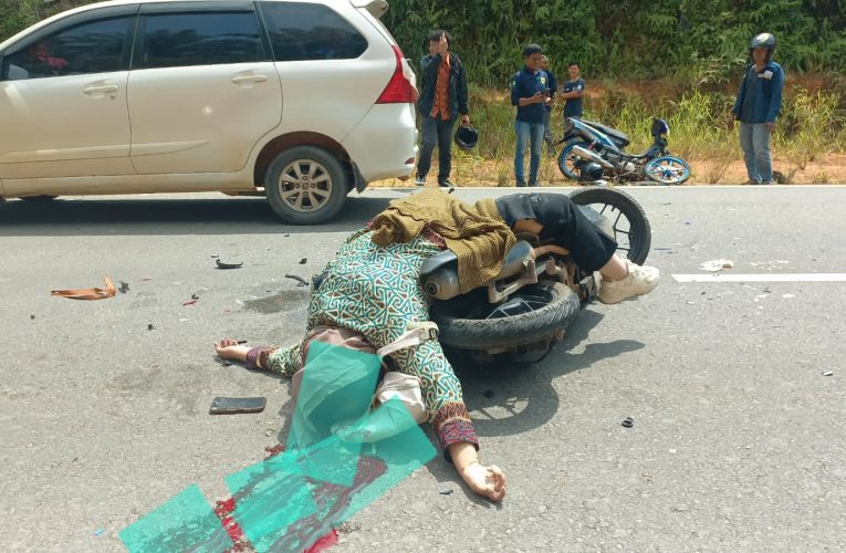 Tragis: Adu Kambing di Lintas Timur Bintan Tewaskan Satu Pengendara Motor