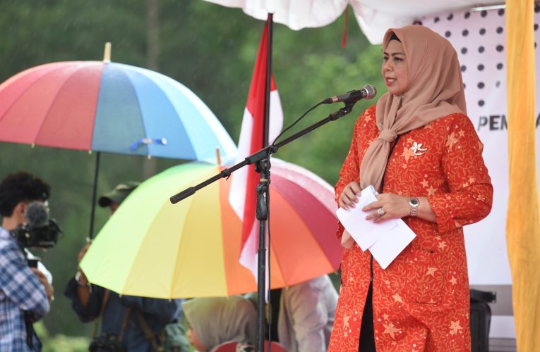 Pabrik Pengolahan Ikan dan Cold Storage PT BIG Mulai Dibangun di Bintan, Target Rampung Mei 2025