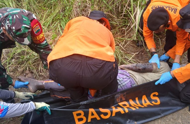 Pria 75 Tahun Ditemukan Meninggal di Perkebunan Toapaya Setelah Hilang Selama Dua Hari