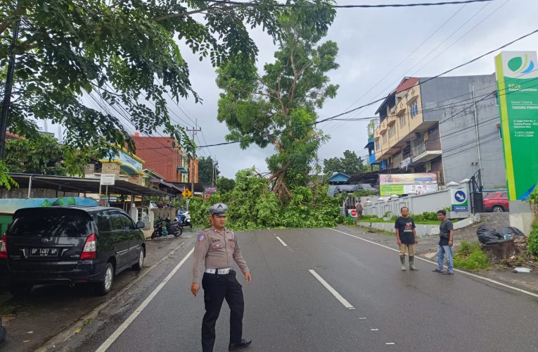 Seorang Pengendara Wanita Tertimpa Dahan Pohon Tumbang di Jalan Engku Putri