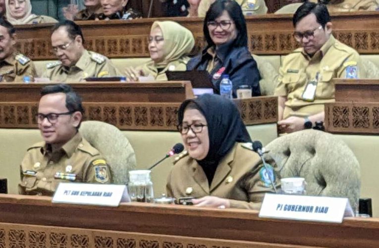 Marlin Sampaikan Langsung ke Komisi II DPR RI, Kepri Kondusif Jelang Pilkada Serentak 