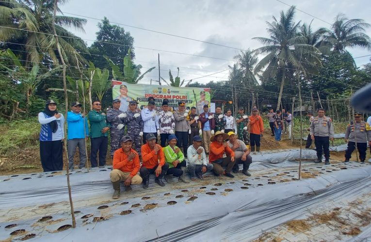 Polresta Tanjungpinang, TNI, dan Pemko Tanjungpinang Dukung Ketahanan Pangan Nasional dengan Penanaman Bibit Jagung