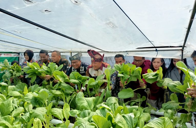 Rutan Kelas I Tanjungpinang Sukses Panen Sayur Hidroponik, Dorong Kemandirian Warga Binaan