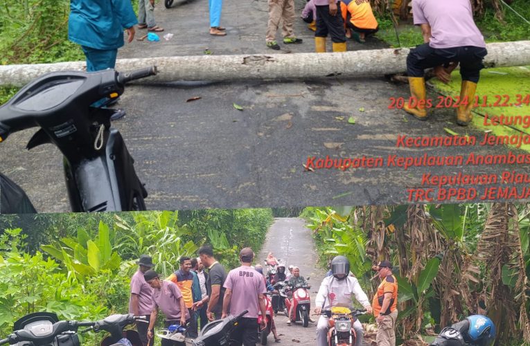 Pohon Tumbang Akibat Angin Kencang di Kecamatan Jemaja Ganggu Aktivitas Warga