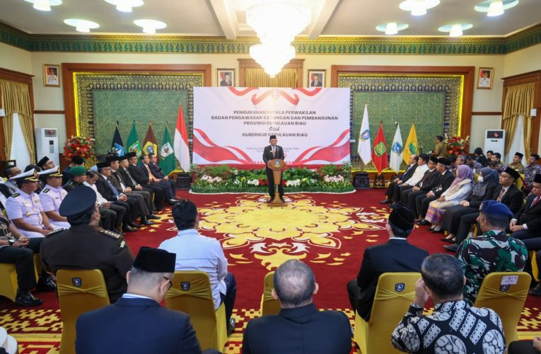 Gubernur Ansar Kukuhkan Hisyam Wahyudi sebagai Kepala Perwakilan BPKP Kepri