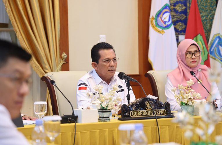 Rakor dengan Mendagri, Gubernur Ansar Ajukan Diskresi untuk Maksimalkan Penataan Non ASN Kepri