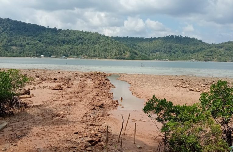 HNSI Kecamatan Siantan Timur Laporkan CV. Adhy Tama ke PSDKP Anambas atas Dugaan Kerusakan Terumbu Karang dan Hutan Bakau