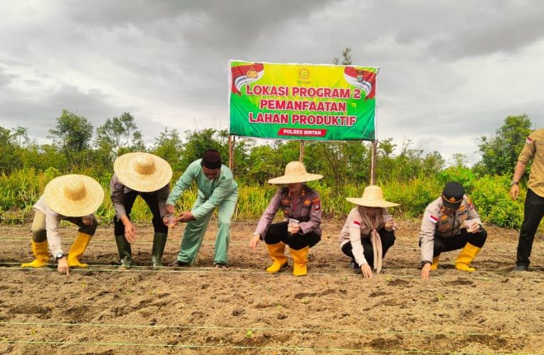 Penanaman Jagung Pipil di Bintan Dukung Astacita Program 2 Pemanfaatan Lahan Produktif