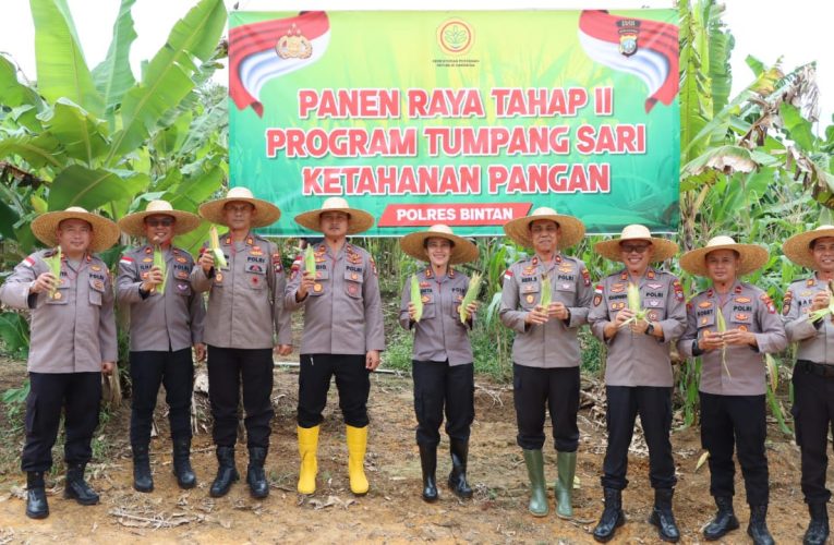Dukung Ketahanan Pangan Nasional, Polres Bintan Kembali Panen Raya Jagung Tahap Kedua