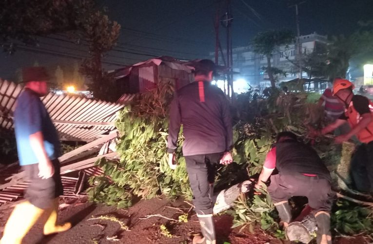 Pohon Tumbang Timpa Kios di Tanjungpinang, BPBD Gerak Cepat Lakukan Evakuasi