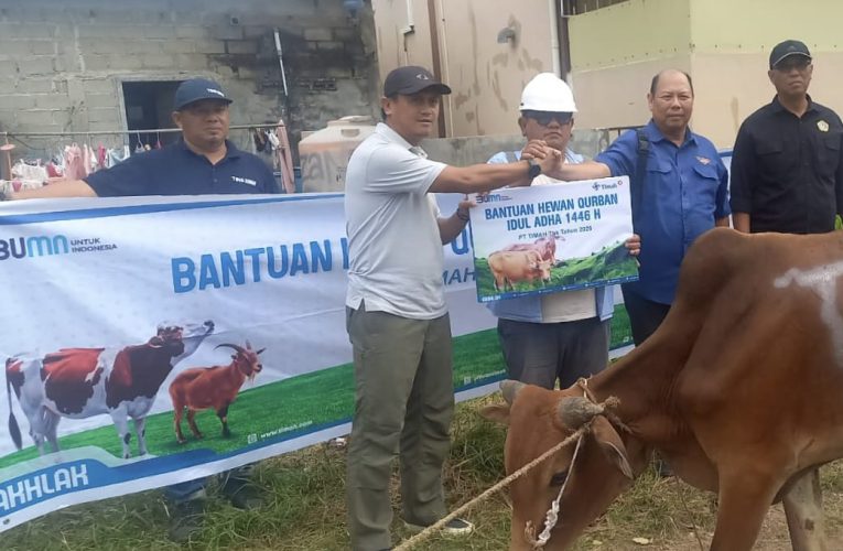 PWI Karimun Kurban Sapi Bantuan PT Timah, Daging Dibagikan ke Wartawan dan Jemaah Masjid