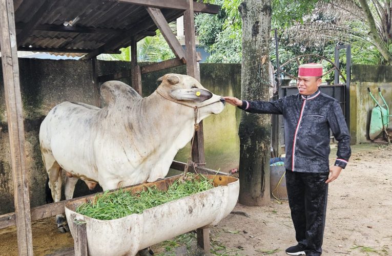 Gelar Penyembelihan Hewan Qurban di Batam, Ketua BPW KKSS Kepri Serahkan 1 Ekor Sapi