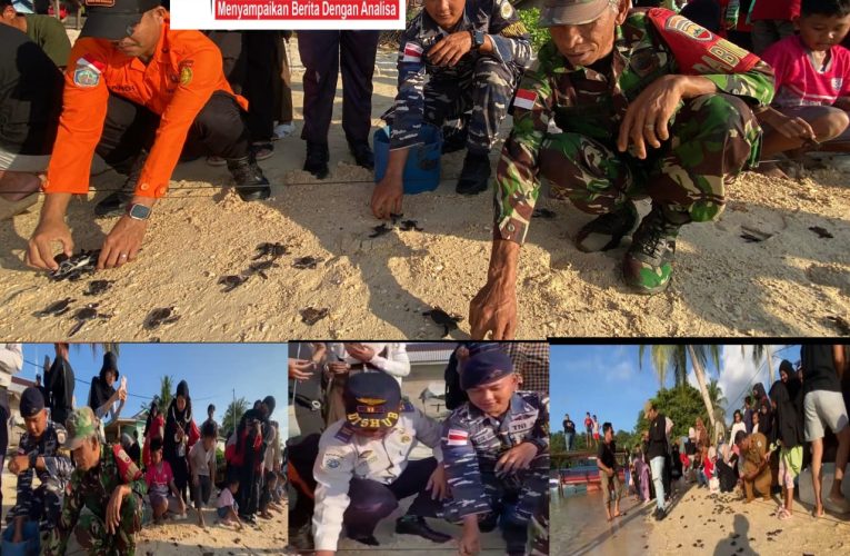 Peringati Hari Penyu Sedunia, Yayasan Penyu Raja Lestari Lepas 1.200 Tukik di Pantai Kusik Anambas