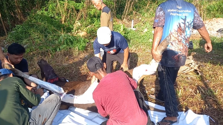 Keluarga Besar Wan Efeyuzar Berkurban Sapi di Griya Permata Kharisma: Harmoni Ibadah dan Sosial Mewarnai Idul Adha