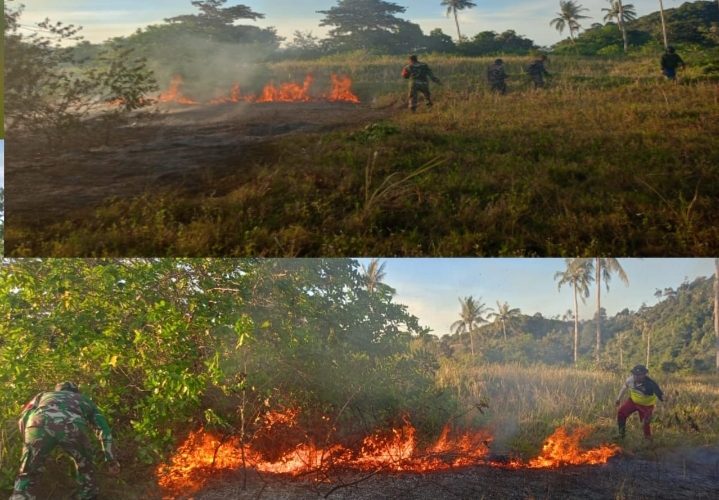 TNI/Polri dan Instansi Terkait Bersinergi Padamkan Kebakaran Lahan Kosong di Bibir Pantai Desa Bukit Padi