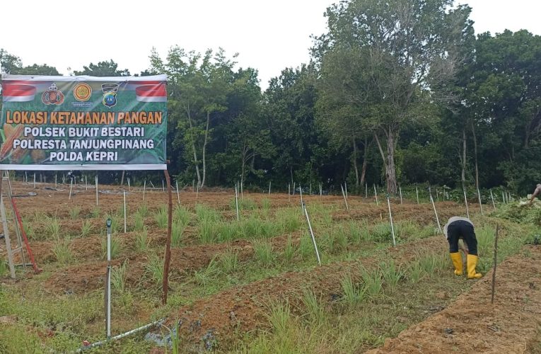 Polsek Bukit Bestari Garap Lahan 5.000 m² untuk Budidaya Jagung Pipil di Dompak