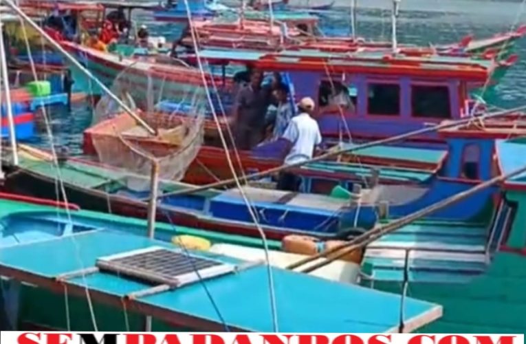 Kegiatan Pelaksanaan Pembuatan Dokumen Pas Kecil di Jemaja, Tanpa Diketahui Syahbandar Tarempa