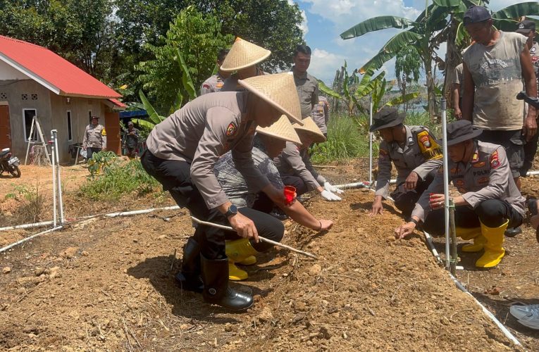 Polresta Tanjungpinang Tanam Jagung di Dompak, Dukung Program Swasembada Pangan