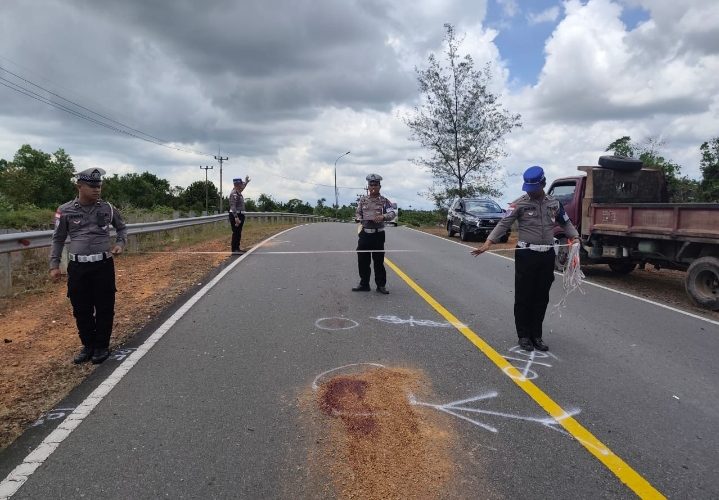 Kecelakaan Maut di Jalan Lintas Barat Bintan, Pengendara Motor Tewas Usai Tabrakan dengan Truk
