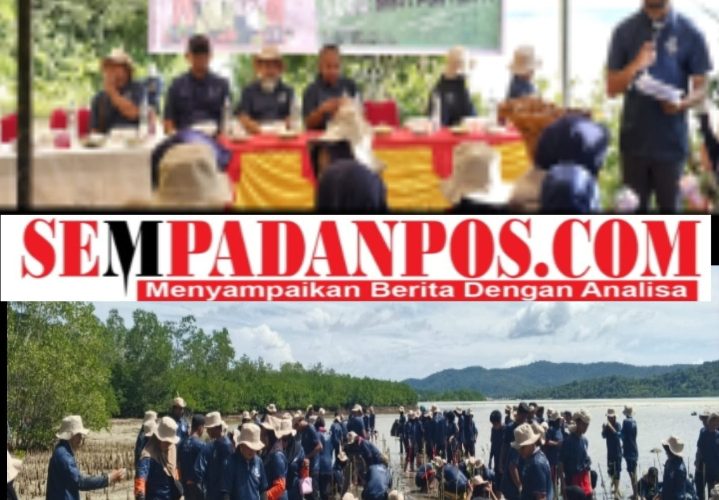 Medco E&P Natuna Gandeng Generasi Muda Anambas Tanam 5.000 Bibit Mangrove