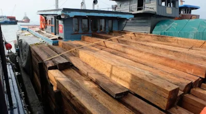 BC Batam Amankan Kapal Bermuatan 1.250 Keping Kayu Ilegal di Perairan Pulau Hangop