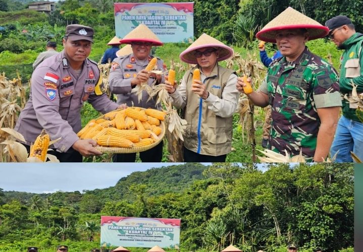 Polres Kepulauan Anambas Panen Raya Jagung Serentak Kuartal IV, Dorong Swasembada Pangan Daerah