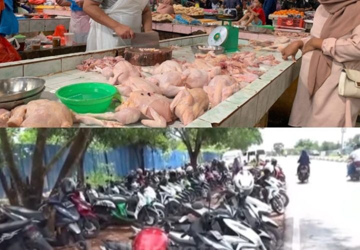 Harga Ayam di Tanjungpinang Tembus Rp60 Ribu, Warga Soroti Minimnya Intervensi Pemko