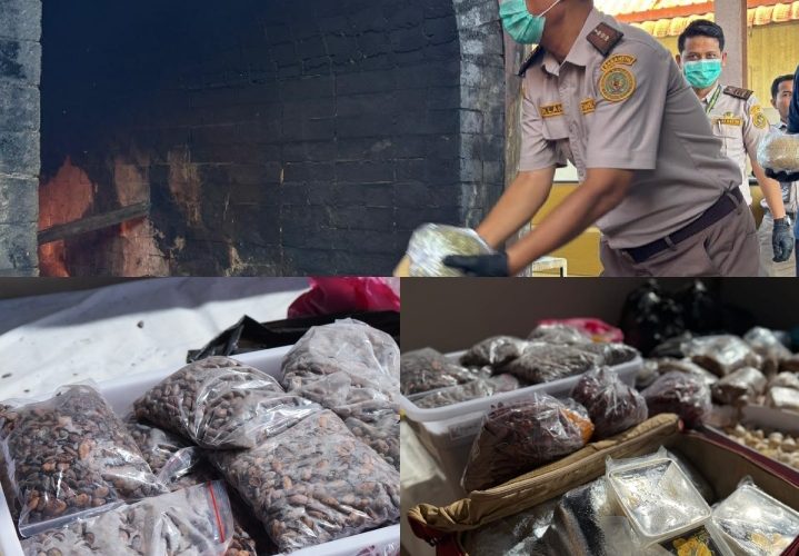 Barantin Musnahkan 61,85 Kg Komoditas Ilegal Asal Luar Negeri di Batam