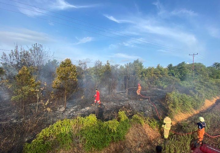 DPKP Tanjungpinang Bergerak Cepat Padamkan Dua Kebakaran Lahan di Senggarang dan Dompak