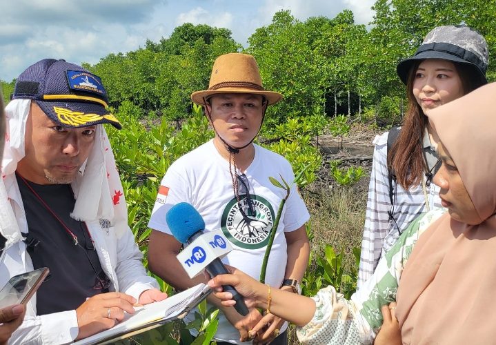 KJK Kepri Survei Lokasi Mangrove, Penanaman di Bintan Dijadwalkan Dihadiri Menteri dan Ketua Komisi DPR