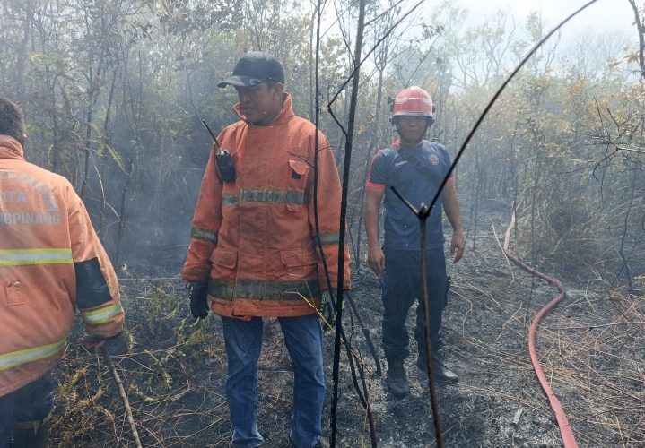Kebakaran Lahan di Senggarang Hanguskan 2 Hektare, Damkar Tanjungpinang Bergerak Cepat