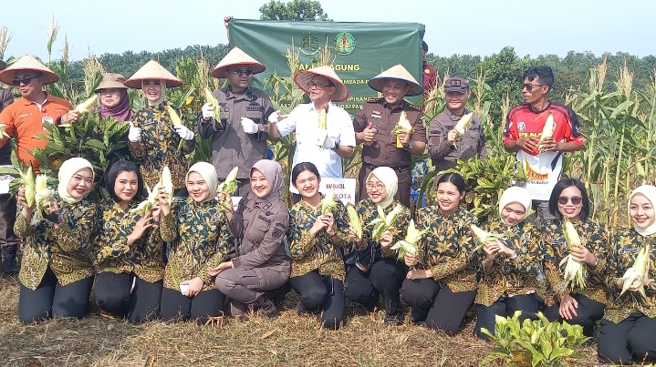 Kejari dan Pemko Tanjungpinang Panen Bersama, Dukung Ketahanan Pangan Nasional