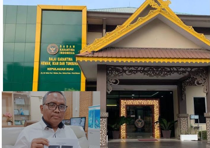 Karantina Kepri Tolak 944,41 Kg Durian Ilegal Asal Singapura, Bantah Isu 2 Ton yang Beredar