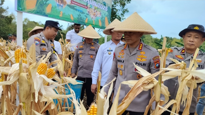 Polres Tanjungpinang Panen Jagung 1 Ton di Bukit Lestari, Dukung Ketahanan Pangan Nasional