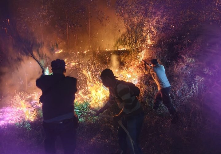 Kebakaran Lahan di Senggarang Besar, Dua Unit Damkar Dikerahkan Padamkan Api Hingga Malam